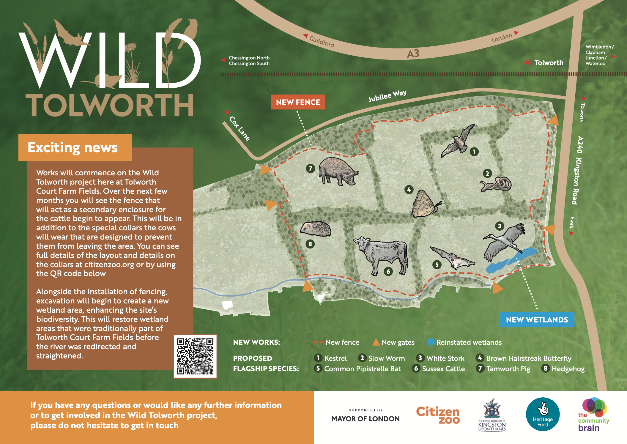 An artist's interpretation of Tolworth Court Farm's future as part of the Wild Tolworth project. The map shows how different parts of the site will feature different species. They include cows, pigs, butterflies, hedgehogs and more!