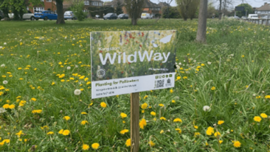 Sign saying Wildway, in a field of flowers