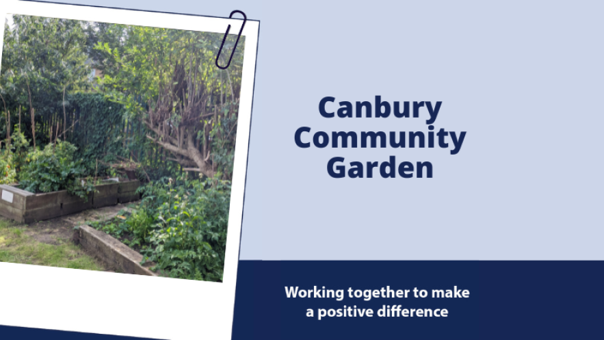 Canbury Community Garden planters and trees