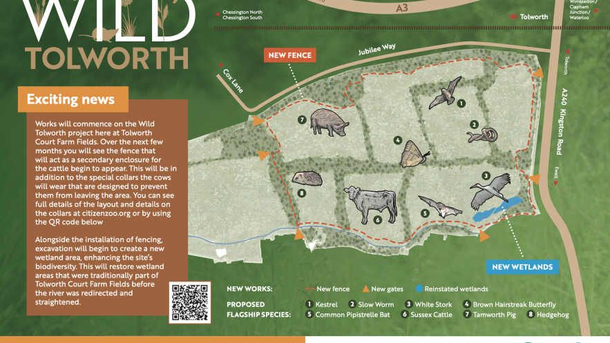 An artist's interpretation of Tolworth Court Farm's future as part of the Wild Tolworth project. The map shows how different parts of the site will feature different species. They include cows, pigs, butterflies, hedgehogs and more!