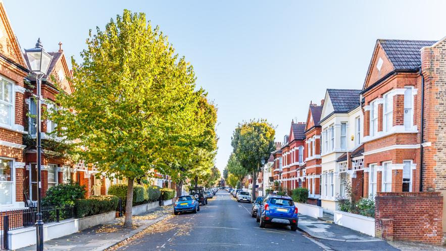 Kingston Council celebrates National Tree Week 2021