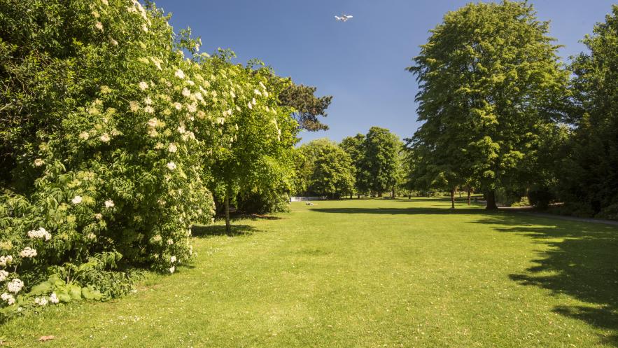 Kingston celebrates internationally recognised awards for two local green spaces