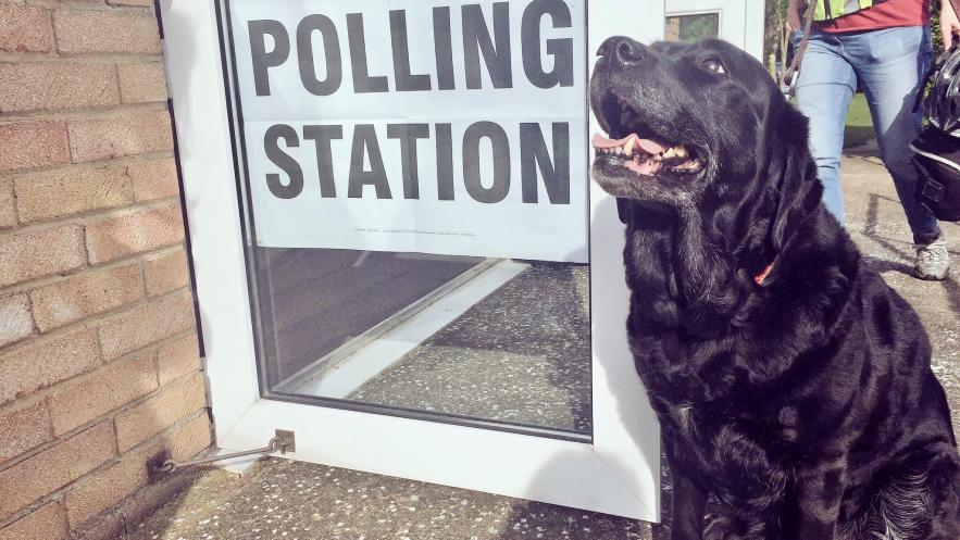 Make sure your voice is heard in May's local elections