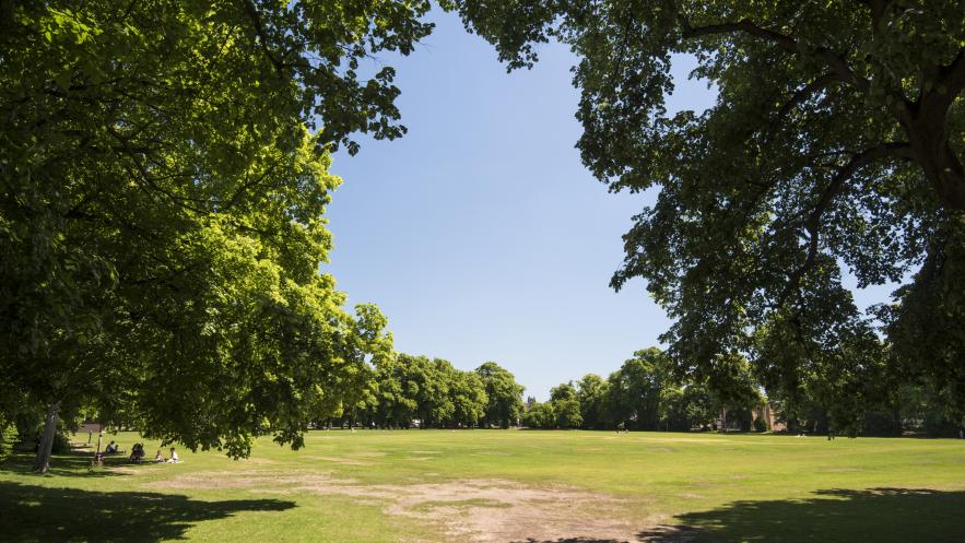 Kingston Council awards new green spaces and tree management contracts for 2021-2028