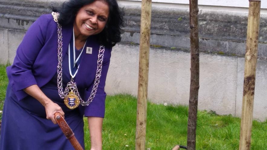 Kingston Mayor joins national tree planting tribute to Queen’s Platinum Jubilee 