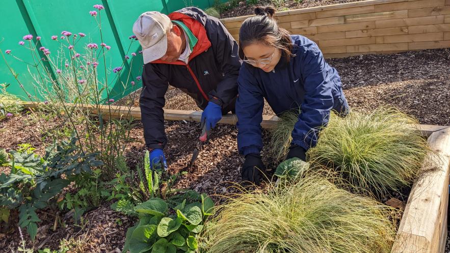 Community farming project at New Malden’s Jubilee Square