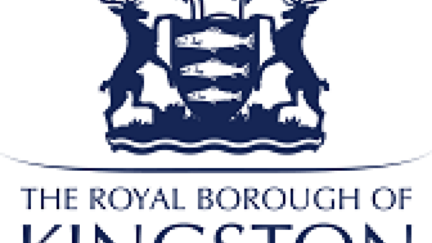 Statement from the Mayor of Kingston on unrest around the country