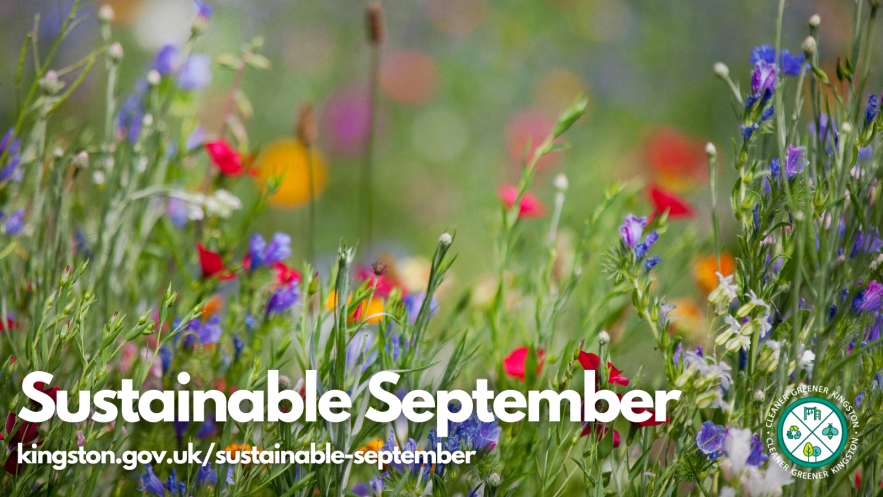 Take a walk on the wild side this September…